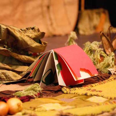 Drôles de zoziaux !